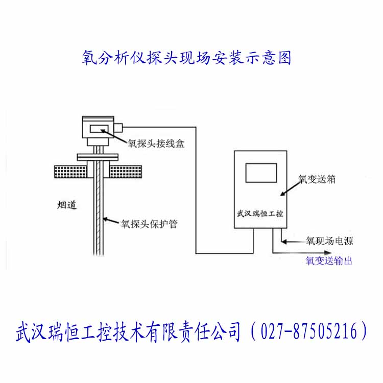  RHO-307直插防爆氧气分析仪